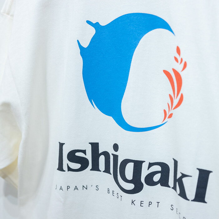 【ふるさと納税】EDISG Tシャツ Manta【カラー:ホワイト】【サイズ:XSサイズ】KB-54-wh-1 サムネイル3