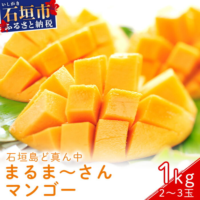 ＜先行予約＞石垣島ど真ん中 まるま〜さんマンゴー 1kg (2〜3玉)【2026年7月頃順次発送】 | ふるさと納税 マンゴー フルーツ 果物 完熟 アップルマンゴー アーウィンマンゴー 沖縄県 石垣市 石垣島 産地直送 ふるさと 人気 送料無料 IT-1
