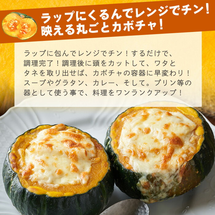 【ふるさと納税】高級カボチャ「栗五郎」サイズ色々2-5個、お得セット！農薬を使わないシリカ水栽培 (3月〜5月順次発送) ｜沖縄 石垣市 石垣島産 減農薬 特別栽培 野菜 離島のいいもの 沖縄いいもの石垣島 OI-13 - 画像3