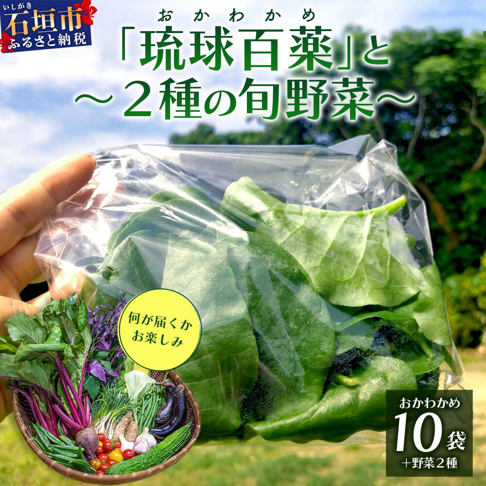 ＜先行予約＞2026年2月順次発送／沖縄の健康長寿の秘訣「琉球百薬(おかわかめ)」10袋と旬の野菜詰め合わせ！農薬を使わない栽培方法を続けるミネイさんの野菜 ｜ 沖縄 石垣島 石垣島産 野菜 セット 詰合せ 農薬不使用 沖縄のいいもの石垣島 送料無料 OI-24