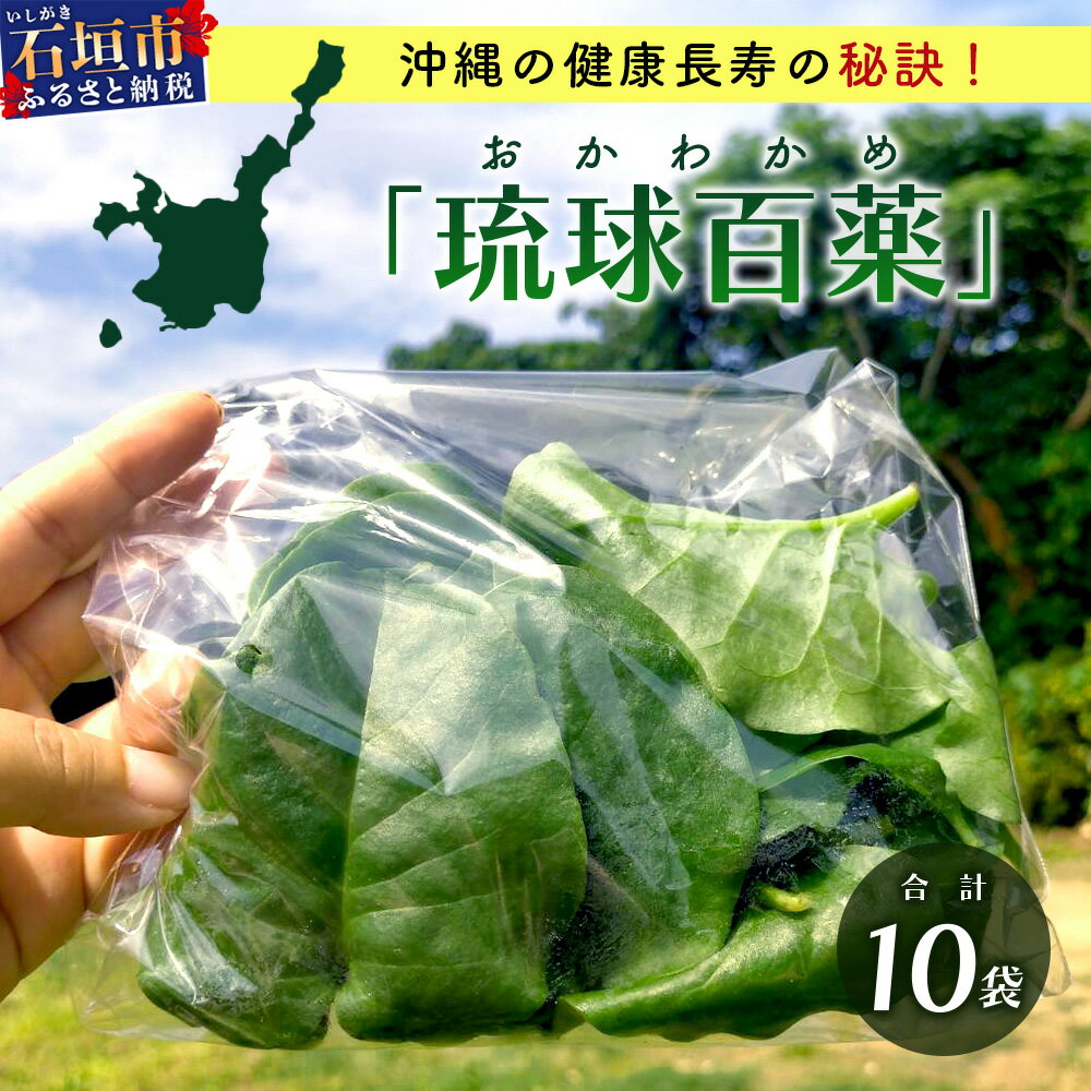 ＜先行予約＞2026年2月順次発送／沖縄の健康長寿の秘訣「琉球百薬（おかわかめ）」10袋！農薬を使わない栽培方法を続けるミネイさんの野菜｜沖縄 石垣島 石垣島産 野菜 農薬不使用 離島のいいもの 沖縄のいいもの石垣島 送料無料 OI-25
