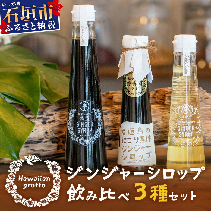 ジンジャーシロップ飲み比べ3種セット(200ML×1本、120ML×2本)　HW-5 【沖縄県石垣市 沖縄 沖縄県 石垣 石垣島 送料無料 生姜 シロップ ジンジャー ジンジャーシロップ 塩 サトウキビ 黒糖 砂糖 赤唐辛子 ギフト 国産】