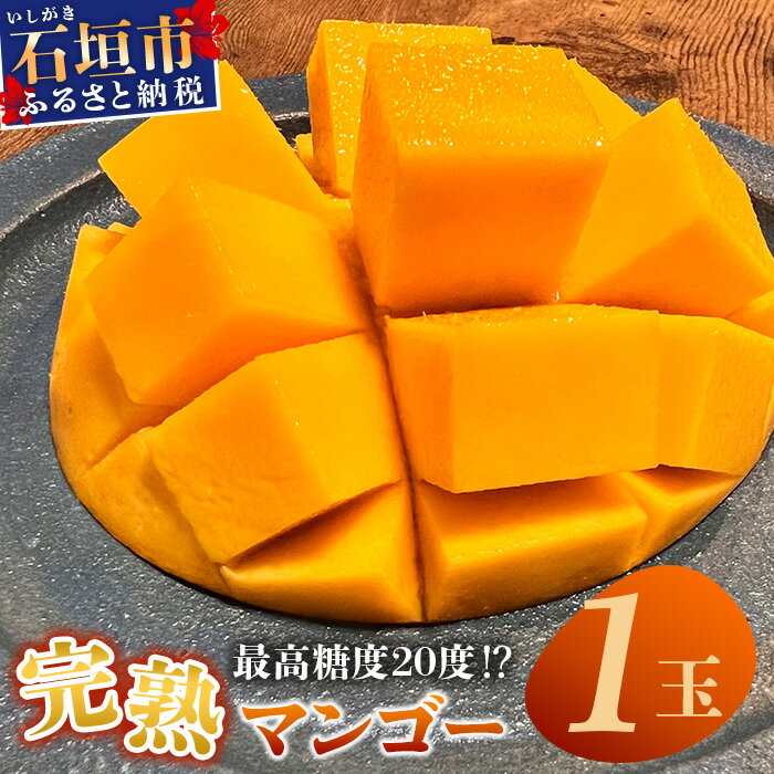 《2026年6月下旬〜7月下旬発送》【先行予約】最高糖度20度！？ 完熟！3Lサイズ 石垣島マンゴー 1玉入り約400g | 沖縄 石垣島 石垣 八重山 マンゴー 完熟マンゴー 期間限定 数量限定 TF-10-1_R8