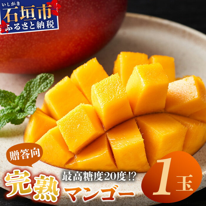 《2026年6月下旬〜7月下旬発送》【先行予約】最高糖度20度！？ 完熟の極！3Lサイズ 石垣島マンゴー 1玉入り約400g【贈答向け】 | 産地直送 完熟マンゴー アーウィン マンゴー 沖縄 八重山 石垣島産 TF-11-1_R8