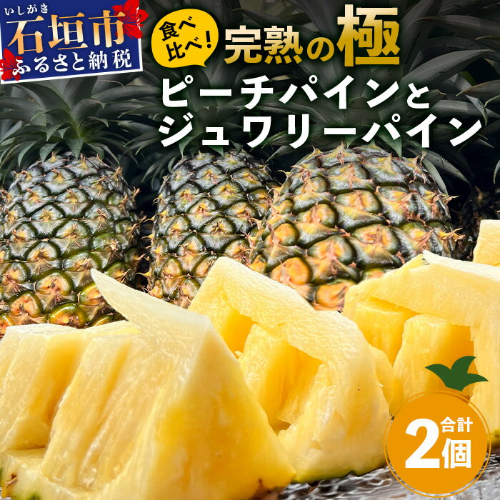 《2026年5月〜7月順次発送》[先行予約] 最高糖度20度以上！？ 完熟の極 石垣島産ピーチパインとジュワリーパインの食べ比べセット | 沖縄 石垣 ジュワリー ピーチ パイン パイナップル 完熟 セット フルーツ デザート 食べ比べ TF-32_R8