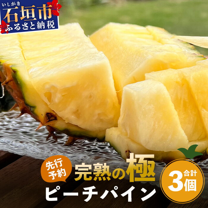 《2026年4月以降順次発送》[先行予約] 最高糖度20度！？ 完熟の極 石垣島産パイナップル　ピーチパイン3個セット 沖縄 石垣島 石垣 八重山 パイン ピーチパイン 期間限定 数量限定 TV テレビ 紹介 マツコ　TF-1-1_R8