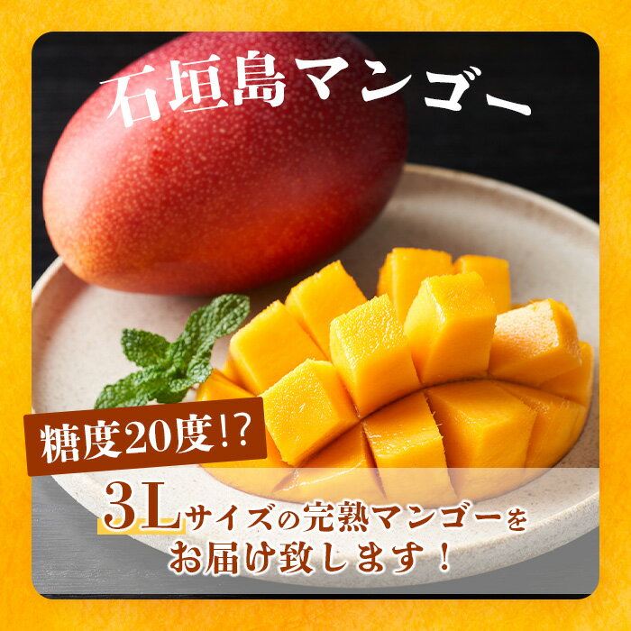 【ふるさと納税】《2026年6月下旬〜7月下旬発送》【先行予約】最高糖度20度！？ 完熟！3Lサイズ 石垣島マンゴー 1玉入り約400g | 沖縄 石垣島 石垣 八重山 マンゴー 完熟マンゴー 期間限定 数量限定 TF-10-1_R8 サムネイル2