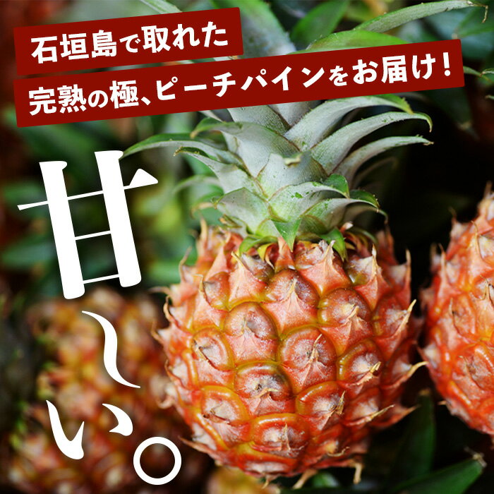 【ふるさと納税】《2026年4月以降順次発送》[先行予約] 最高糖度20度！？ 完熟の極 石垣島産パイナップル　ピーチパイン3個セット 沖縄 石垣島 石垣 八重山 パイン ピーチパイン 期間限定 数量限定 TV テレビ 紹介 マツコ　TF-1-1_R8 サムネイル2