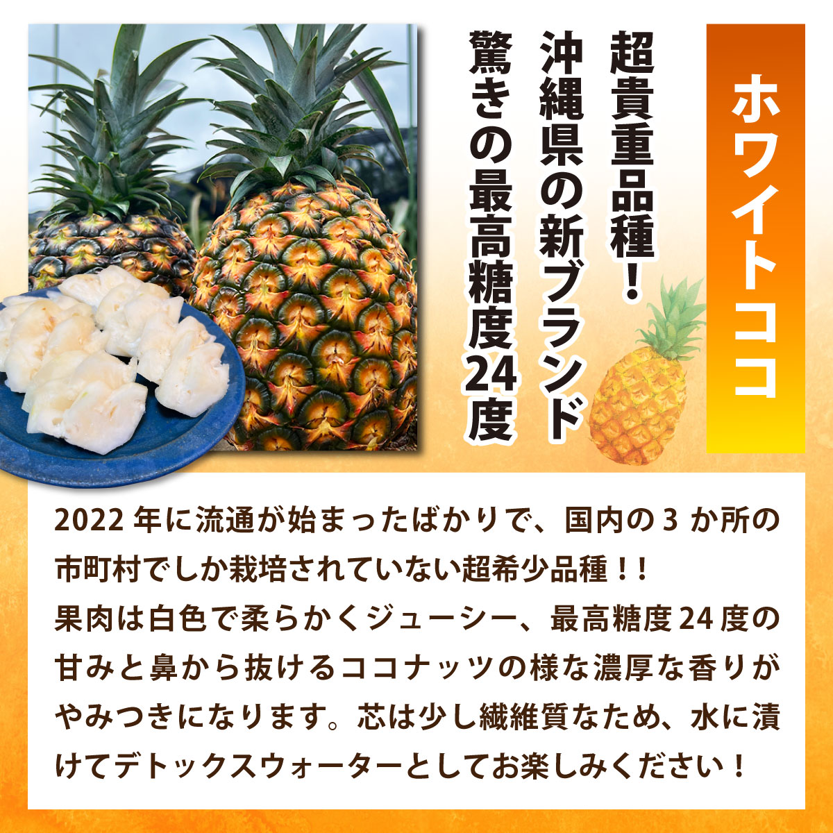 【ふるさと納税】＜選べる内容量＞【定期便】よくばり定期便（希少パイナップル2種、マイヤーレモン） | パイナップル パイン マイヤーレモン レモン トロピカル フルーツ ふるさと納税 ふるさと 沖縄県 沖縄 石垣 石垣島 石垣市 人気 サムネイル3