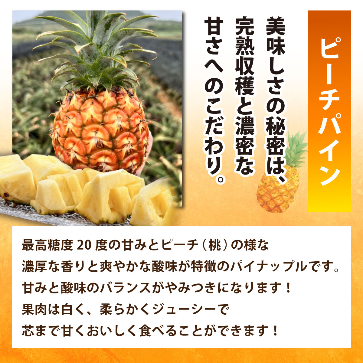 【ふるさと納税】＜選べる内容量＞【定期便】よくばり定期便（希少パイナップル2種、マイヤーレモン） | パイナップル パイン マイヤーレモン レモン トロピカル フルーツ ふるさと納税 ふるさと 沖縄県 沖縄 石垣 石垣島 石垣市 人気 サムネイル2