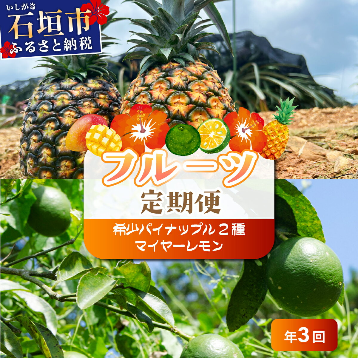 ＜選べる内容量＞【定期便】よくばり定期便（希少パイナップル2種、マイヤーレモン） | パイナップル パイン マイヤーレモン レモン トロピカル フルーツ ふるさと納税 ふるさと 沖縄県 沖縄 石垣 石垣島 石垣市 人気