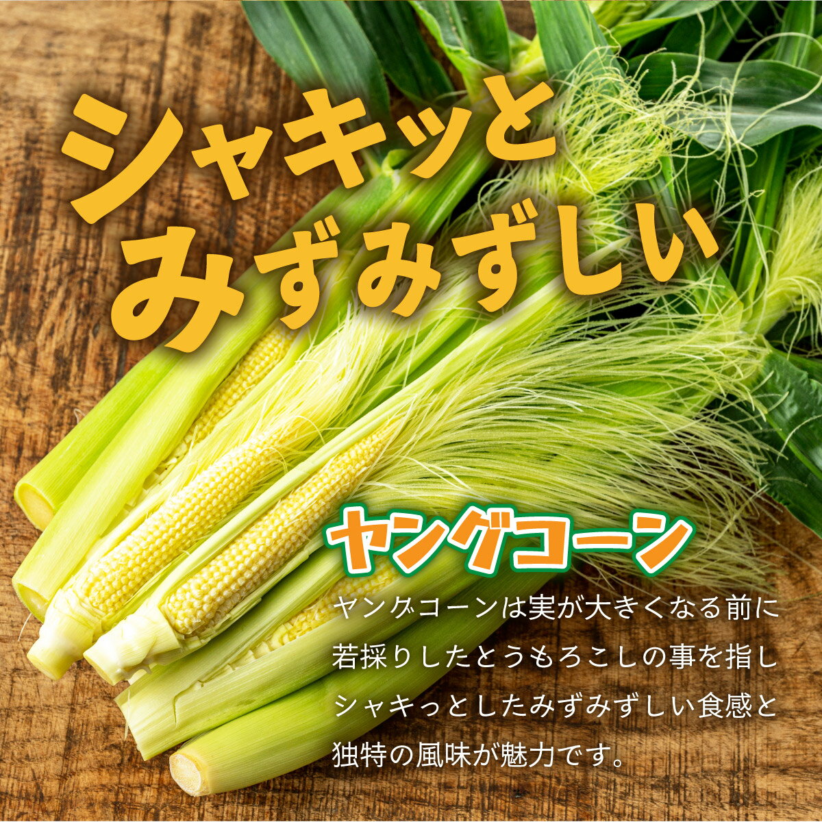 【ふるさと納税】【先行予約】 1番遅くて1番早い? プレミアムヤングコーンとスイートコーン！！朝採れを皮付きのままお届け！！ | コーン スイートコーン とうもろこし ヤングコーン 朝採れ ふるさと納税 ふるさと 沖縄県 沖縄 石垣 石垣島 石垣市 人気 - 画像2