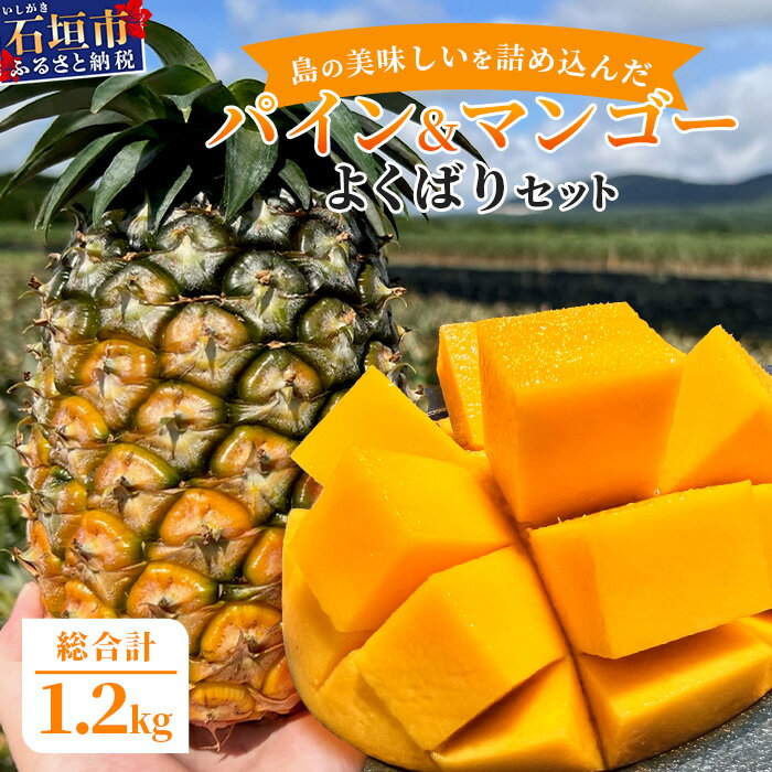 《2026年6月中旬以降発送》島の美味しいを詰め込んだ、パイン＆マンゴーのよくばりセット！ | 沖縄 石垣島 石垣 八重山 パイン パイナップル マンゴー セット 詰め合わせ 期間限定 数量限定 産地直送 送料無料 TF-24_R8