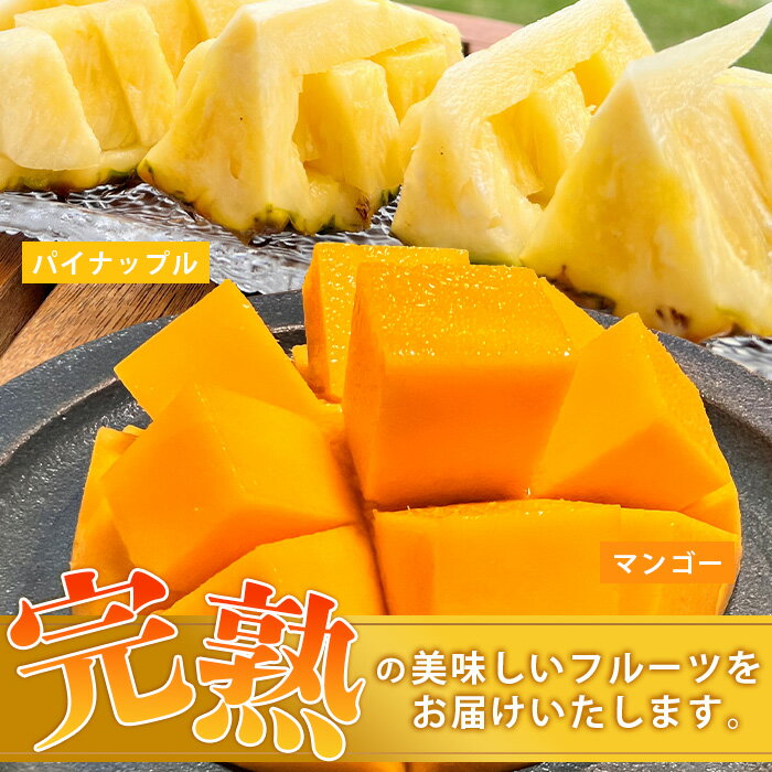 【ふるさと納税】《2026年6月中旬以降発送》島の美味しいを詰め込んだ、パイン＆マンゴーのよくばりセット！ | 沖縄 石垣島 石垣 八重山 パイン パイナップル マンゴー セット 詰め合わせ 期間限定 数量限定 産地直送 送料無料 TF-24_R8 サムネイル2