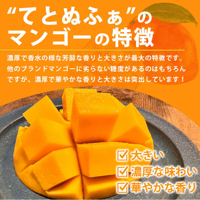 【ふるさと納税】《2026年6月中旬以降発送》島の美味しいを詰め込んだ、パイン＆マンゴーのよくばりセット！ | 沖縄 石垣島 石垣 八重山 パイン パイナップル マンゴー セット 詰め合わせ 期間限定 数量限定 産地直送 送料無料 TF-24_R8 サムネイル3