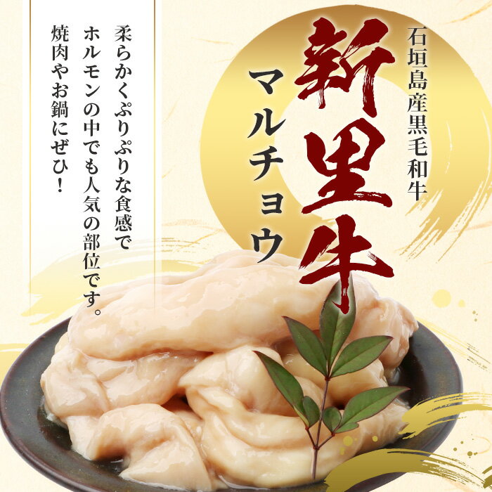 【ふるさと納税】石垣島産 黒毛和牛 新里牛 マルチョウ(500g×2) 合計1kg SZ-22 - 画像2