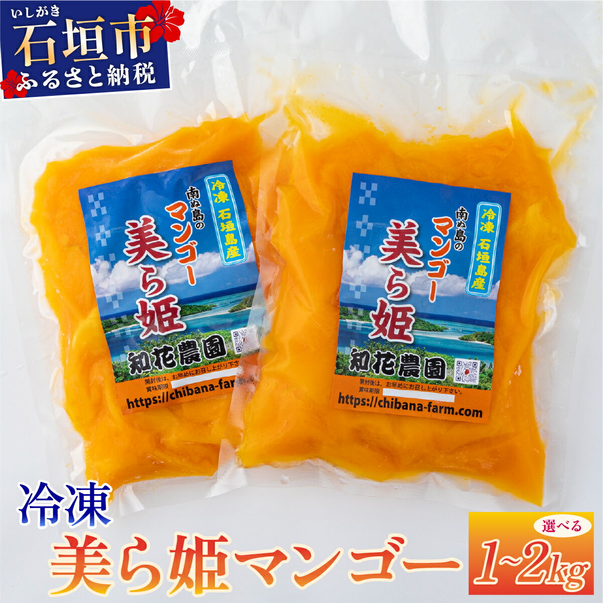 【選べる容量】冷凍美ら姫マンゴー 1〜2kg | ふるさと納税 マンゴー 完熟 冷蔵 フルーツ 果物 沖縄県 石垣市 石垣島 産地直送 ふるさと 人気 送料無料 CB-3 CB-4