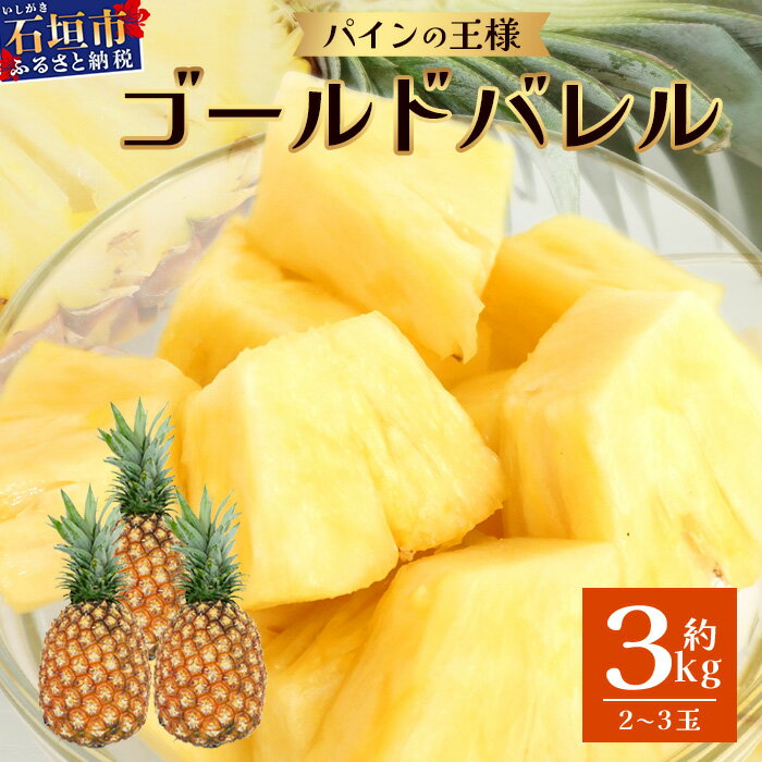 [2026年6月上旬より順次発送予定] 最高級パイン ゴールドバレル2~3玉セット | 沖縄 石垣 パイナップル パイン ゴールド バレル 高級 セット TD-1-1