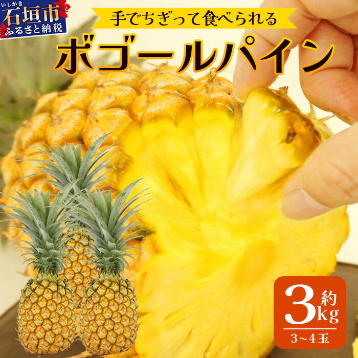 《2026年4月下旬頃より順次発送》[予約受付] 石垣島産 ボゴールパイン 3〜4玉セット 約3kg | 産地直送 石垣島産 石垣 完熟 パイン パイナップル スナックパイン ボゴール TD-3