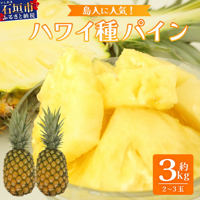 《2026年7月上旬頃より順次発送》［予約受付］石垣島産 ハワイ種パイン 2〜3玉セット 約3kg｜産地直送 石垣島産 石垣 完熟 パイン パイナップル ｜TD-6