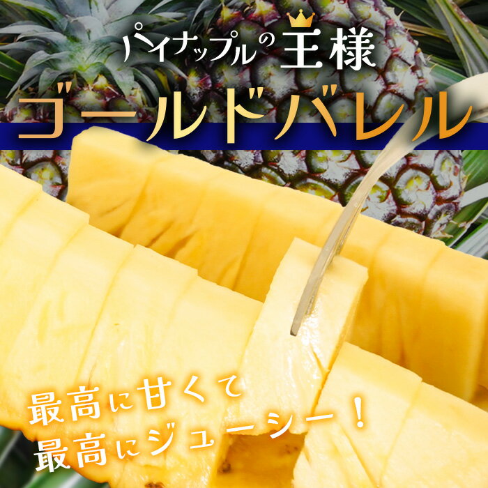 【ふるさと納税】[2026年6月上旬より順次発送予定] 最高級パイン ゴールドバレル2~3玉セット | 沖縄 石垣 パイナップル パイン ゴールド バレル 高級 セット TD-1-1 サムネイル2