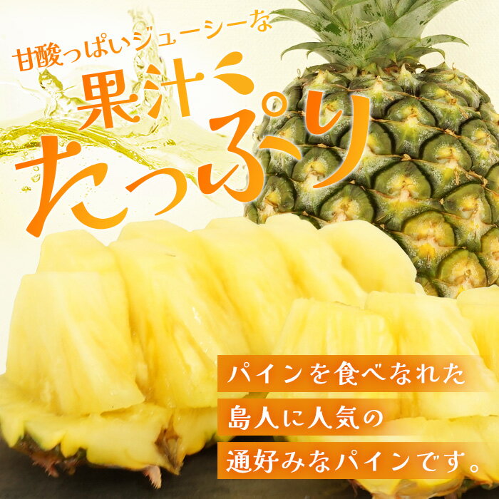 【ふるさと納税】《2026年7月上旬頃より順次発送》［予約受付］石垣島産 ハワイ種パイン 2〜3玉セット 約3kg｜産地直送 石垣島産 石垣 完熟 パイン パイナップル ｜TD-6 サムネイル2