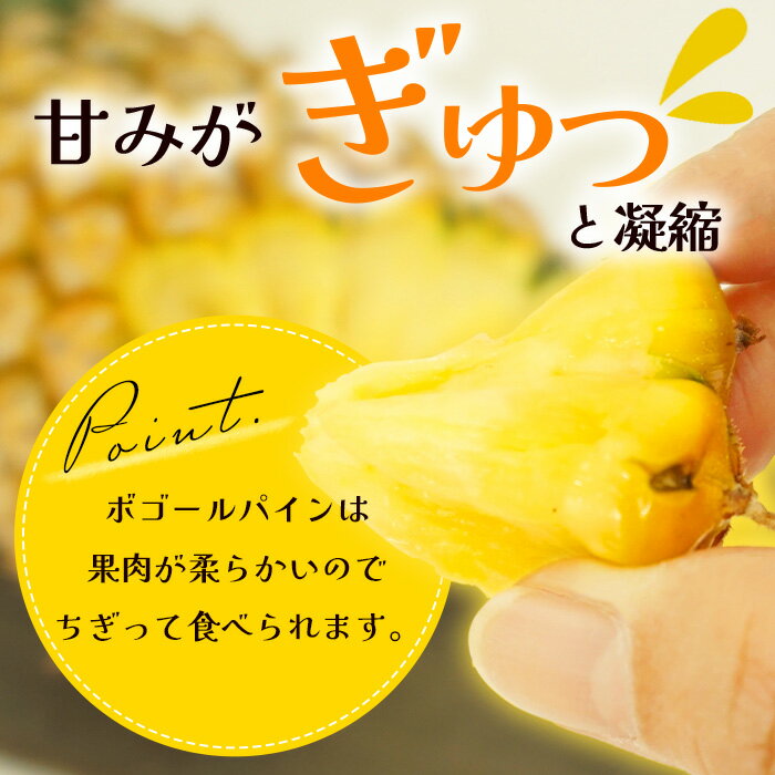 【ふるさと納税】《2026年4月下旬頃より順次発送》[予約受付] 石垣島産 ボゴールパイン 2〜3個セット 約2kg | 産地直送 石垣島産 石垣 完熟 パイン パイナップル スナックパイン ボゴール TD-2 サムネイル2