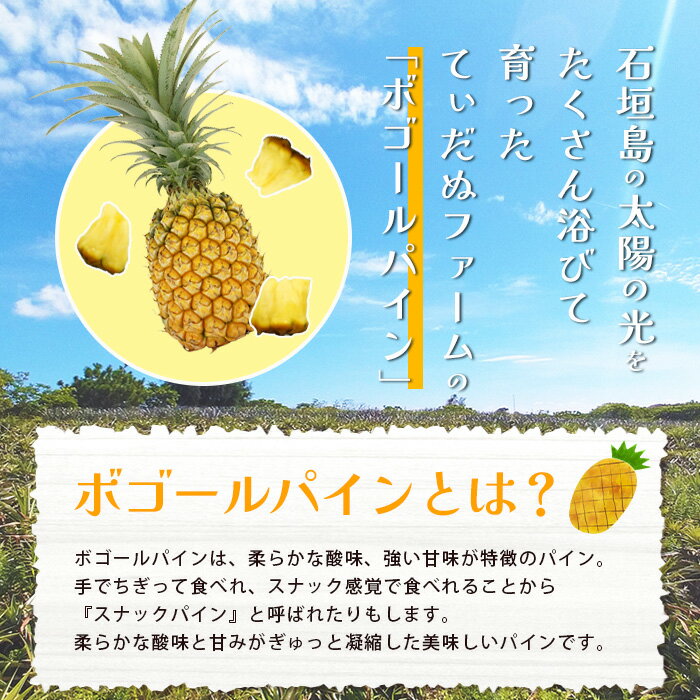 【ふるさと納税】《2026年4月下旬頃より順次発送》[予約受付] 石垣島産 ボゴールパイン 3〜4玉セット 約3kg | 産地直送 石垣島産 石垣 完熟 パイン パイナップル スナックパイン ボゴール TD-3 サムネイル3