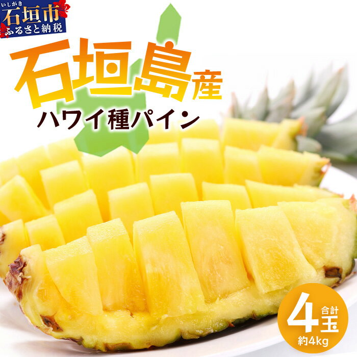 【先行予約】《2026年6月上旬頃より順次発送》石垣島産 ハワイ種 パイン (4玉 約4kg) ｜ 産地直送 沖縄 石垣 パイン パイナップル フルーツ ハワイ種 ｜石垣さんちの石垣トロピカルファーム TP-5
