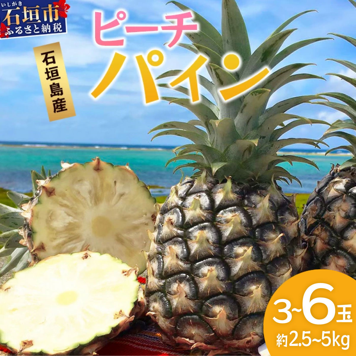 【先行予約】《2026年5月上旬頃より順次発送》石垣島産 ピーチパイン約2.5~5kg｜産地直送 沖縄 石垣 パイナップル フルーツ ｜石垣さんちの石垣トロピカルファーム TP-10-12