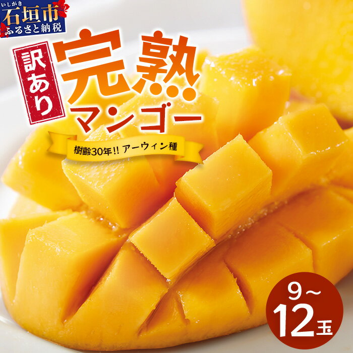 ＜先行予約＞2026年発送分【訳あり】石垣島産 マンゴー (アーウィン種) 9〜12玉(箱含め約5kg) 《樹齢30年の木で育ったマンゴー》｜産地直送 沖縄 石垣島 マンゴー アーウィン マンゴー フルーツ TP-03