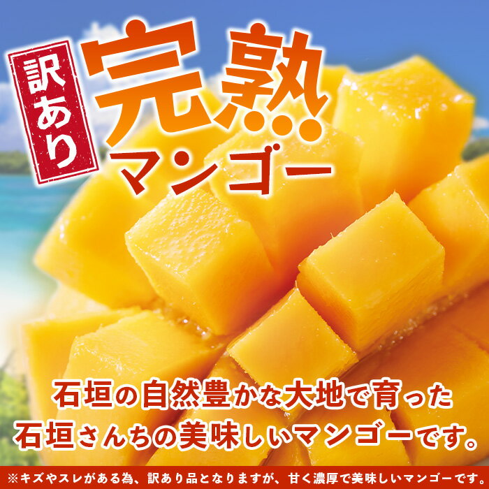 【ふるさと納税】＜先行予約＞2026年発送分【訳あり】石垣島産 マンゴー (アーウィン種) 9〜12玉(箱含め約5kg) 《樹齢30年の木で育ったマンゴー》｜産地直送 沖縄 石垣島 マンゴー アーウィン マンゴー フルーツ TP-03 サムネイル2