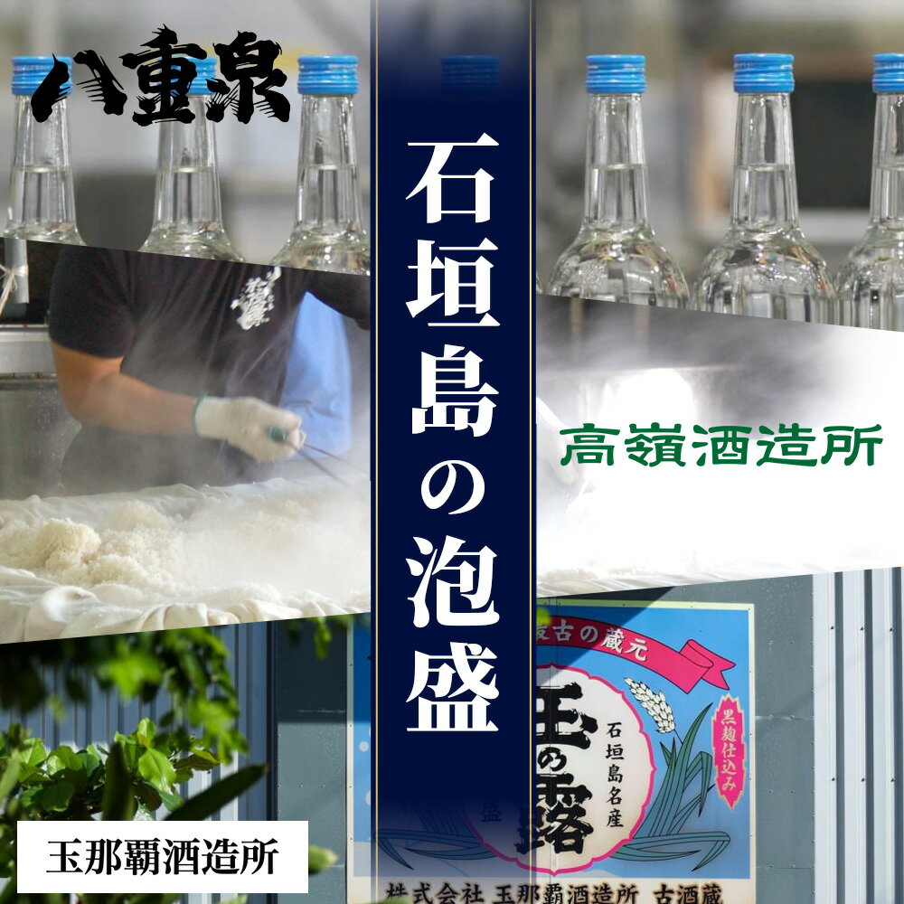 【ふるさと納税】 ミニサイズボトル石垣島の泡盛　島酒 味くらべ10本セット│沖縄 石垣島 八重山 泡盛 セット 八重泉酒造 高嶺酒造所 玉那覇酒造所　 R-30 サムネイル2