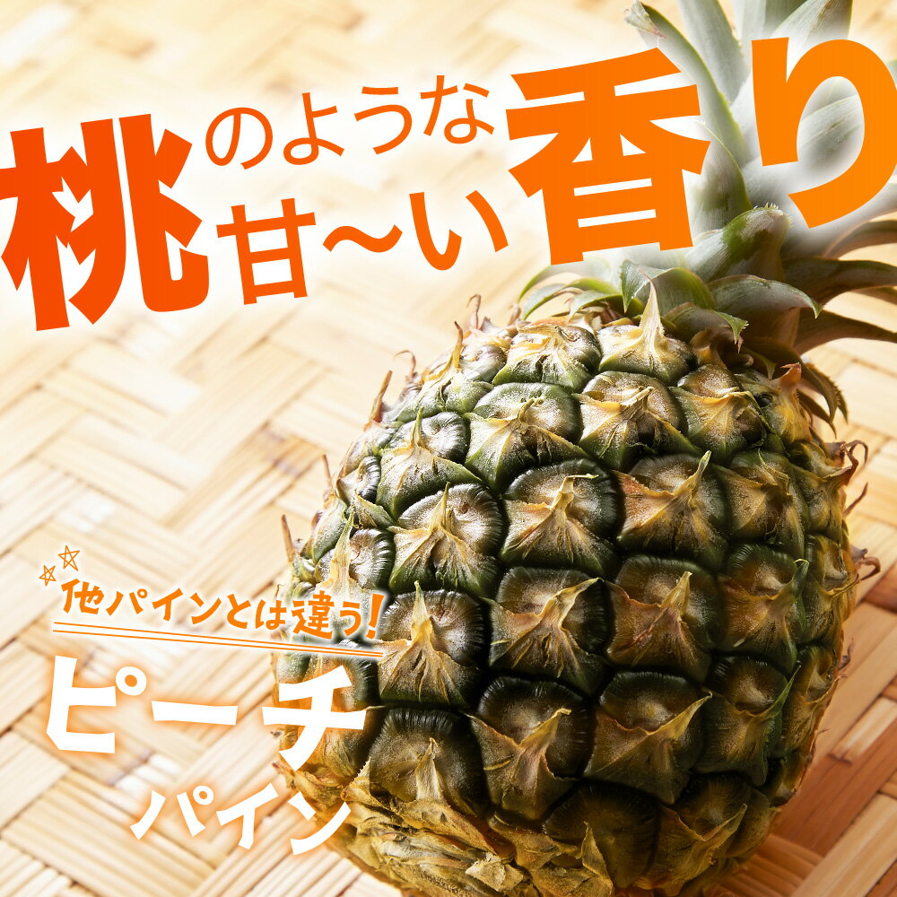 【ふるさと納税】＜先行予約＞ピーチ＆ポコットパイン食べ比べ 1kg (計2玉) お勧め♪川平パイン《2026年5月〜10月頃発送》 | パイナップル 沖縄 石垣島 ピーチパイン スナックパイン 川平 KN-5 サムネイル2