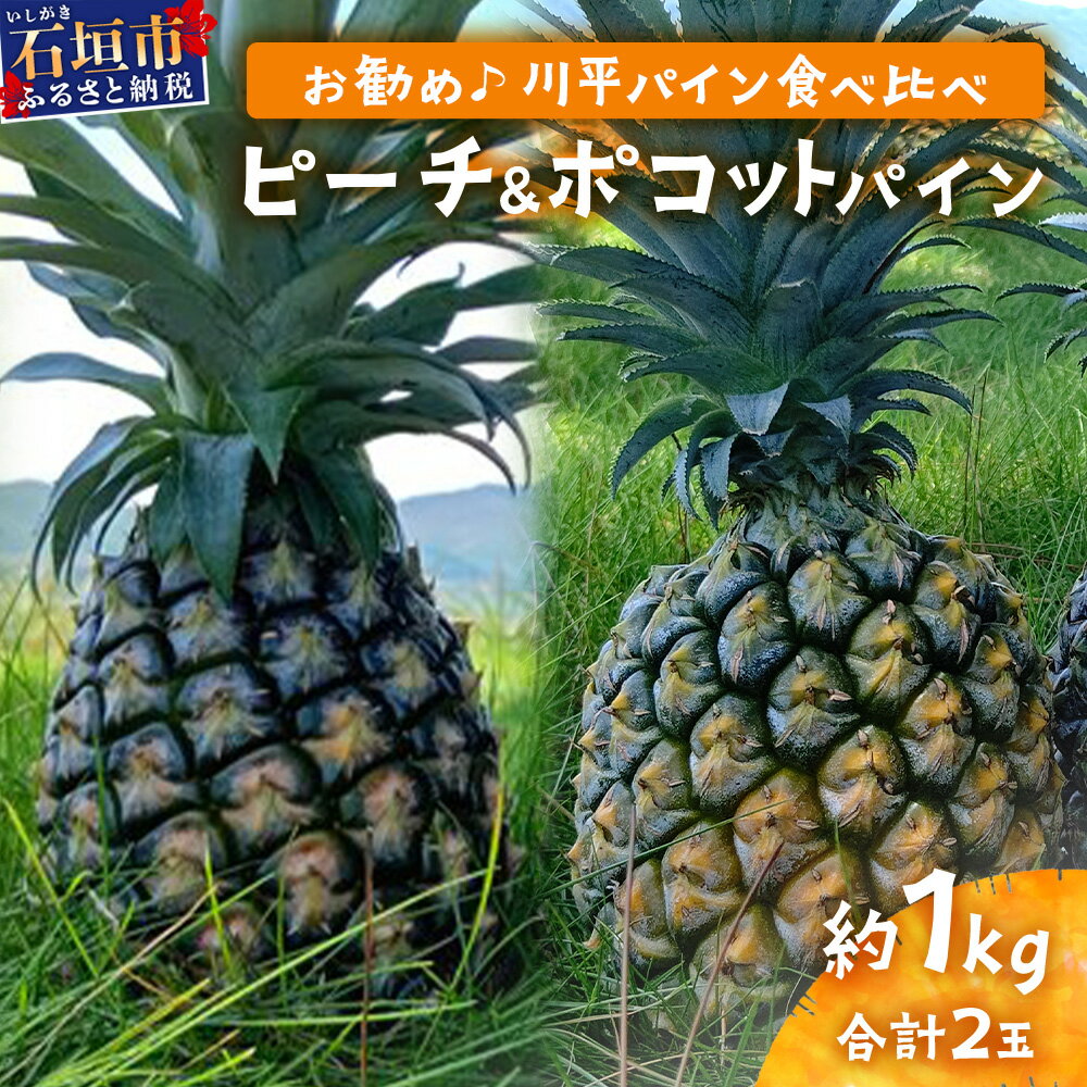 ＜先行予約＞ピーチ＆ポコットパイン食べ比べ 1kg (計2玉) お勧め♪川平パイン《2026年5月〜10月頃発送》 | パイナップル 沖縄 石垣島 ピーチパイン スナックパイン 川平 KN-5
