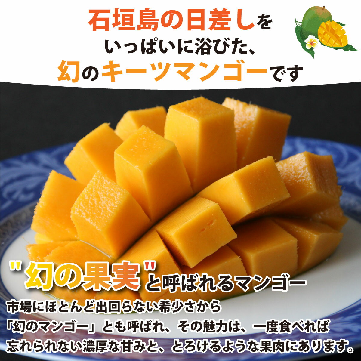 【ふるさと納税】＜わんのマンゴー＞石垣島産マンゴー【キーツ】 約 1.2kg 前後（1〜2玉） NA-05 サムネイル2