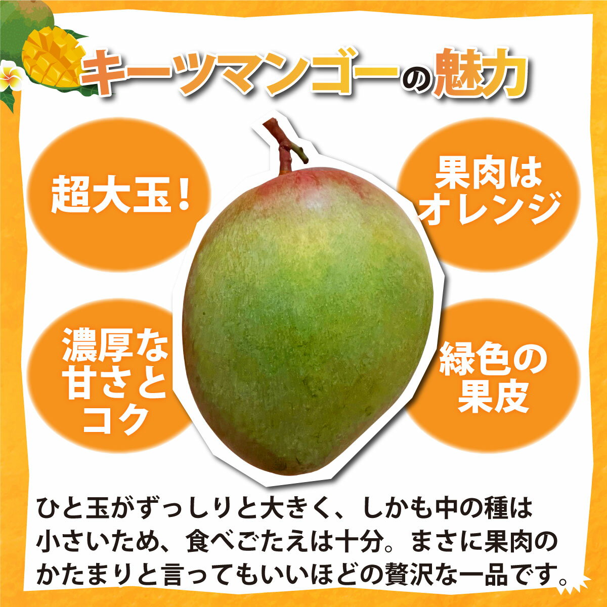 【ふるさと納税】＜わんのマンゴー＞石垣島産マンゴー【キーツ】 約 1.2kg 前後（1〜2玉） NA-05 サムネイル3