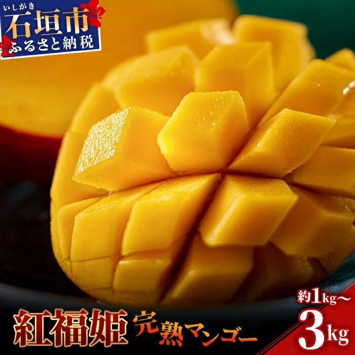 先行予約【数量限定】内容量を選べる「紅福姫ブランド」石垣島のマンゴー 約1〜3kg【沖縄県 石垣市 産地直送 旬 石垣島産 マンゴー 完熟マンゴー アーウィン種マンゴー】