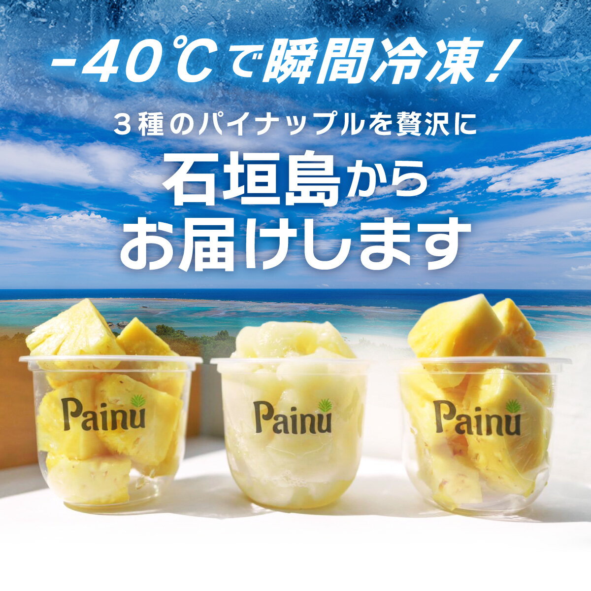 【ふるさと納税】＜選べる容量＞石垣島産フローズンパイナップル3種食べ比べセット | ふるさと納税 パイナップル パイン フルーツ 果物 果実 沖縄県 石垣市 石垣島 産地直送 ふるさと 人気 送料無料 PU-01 サムネイル2