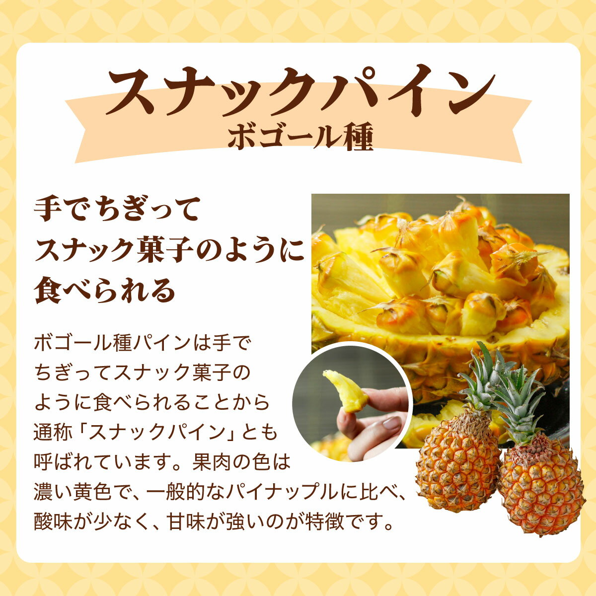 【ふるさと納税】＜先行予約＞ ピーチパイン スナックパイン 各2玉セット ＜2026年4月発送＞ | 沖縄県 石垣市 石垣島産 パイン パイナップル ZH-024 - 画像3