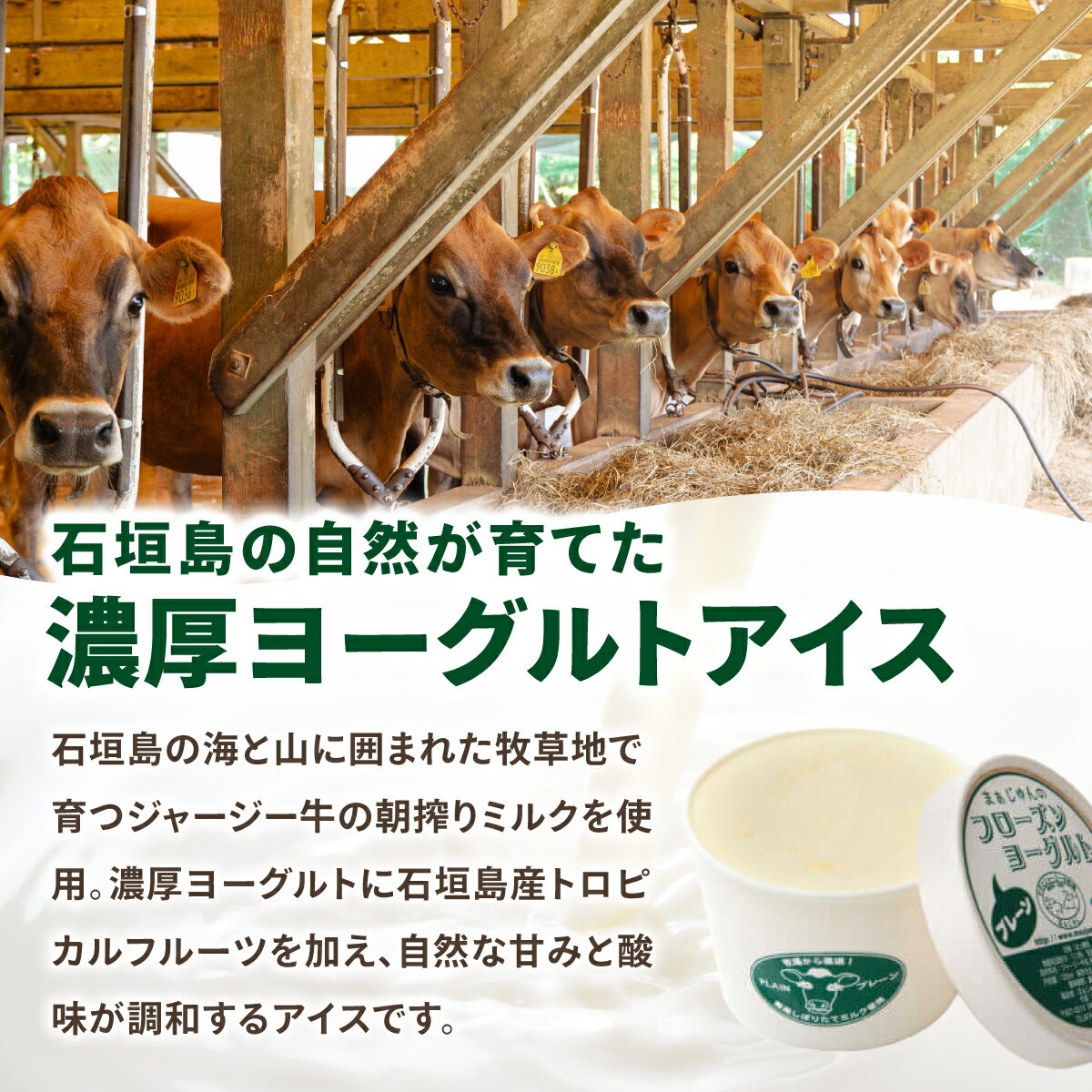 【ふるさと納税】まぁじゅん牧場のフローズンヨーグルトセット 5種詰め合わせ 10個入り (プレーン マンゴー パッションフルーツ パイナップル シークヮーサー) | アイスクリーム トロピカルフルーツ スイーツ 沖縄県石垣市 贈答品 - 画像2