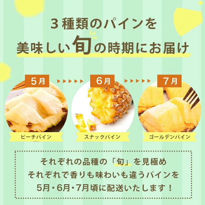【ふるさと納税】＜先行予約・定期便＞石垣島産 パイナップル 3回 定期 3種 計6玉【2026年 5月・6月・7月頃お届け】 | ふるさと納税 パイナップル パイン フルーツ 果物 果実 定期便 定期 3回 3か月 沖縄県 石垣市 石垣島 産地直送 ふるさと 人気 送料無料 KP-18 サムネイル3