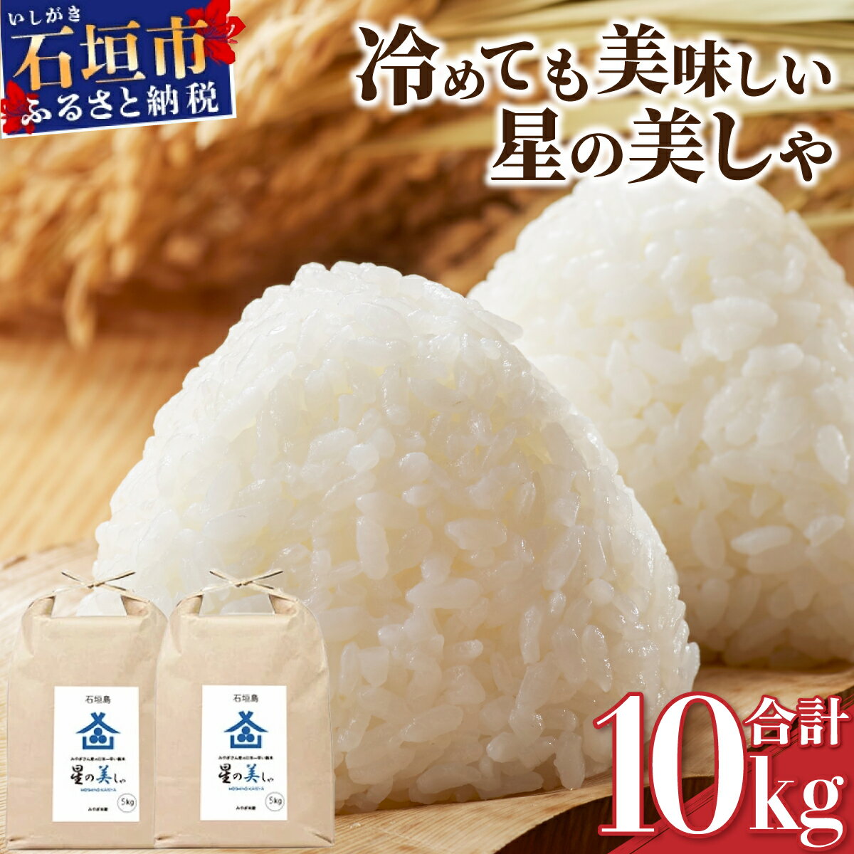 石垣島産 星の美しゃ (ほしのかいしゃ) みやぎ米屋 | 日本一早い新米の産地 お米 こめ コメ 産地直送 旬 ほしじるし 沖縄県 石垣市 送料無料