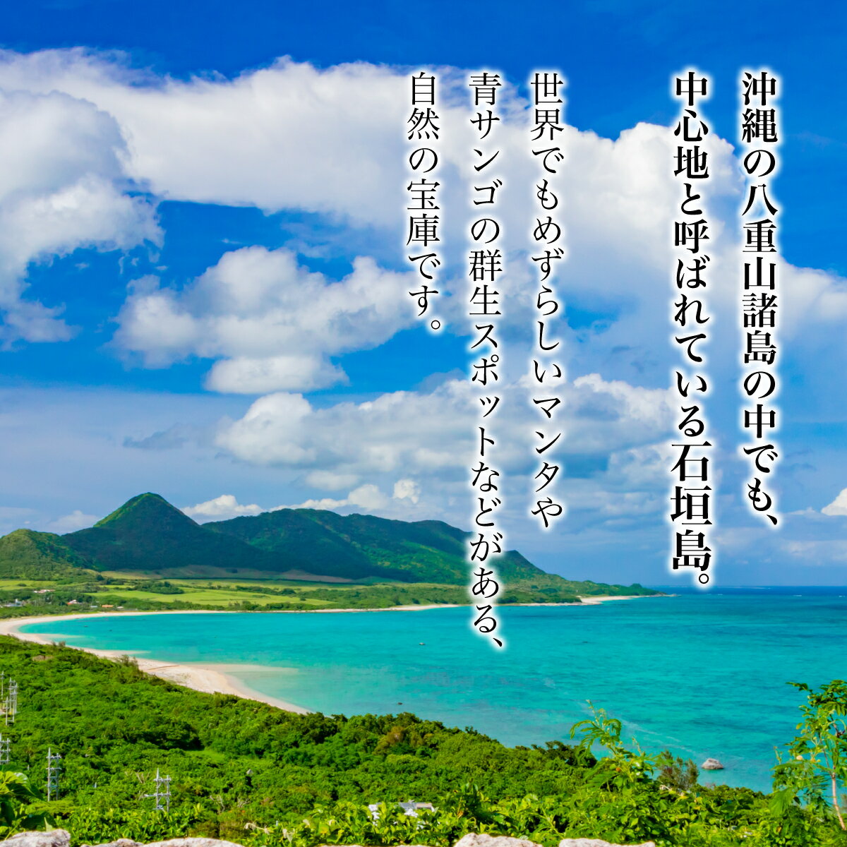 【ふるさと納税】ホテルグランビュー石垣The First　シングル / ツイン / ジュニアスイート宿泊利用券（1泊朝食付き）【選べる宿泊パターン】 | 旅行 沖縄 ホテル 旅行券 トラベル リゾート 旅行 宿泊 宿泊券 チケット クーポン 高級 宿 沖縄県 沖縄 石垣市 石垣 人気 - 画像2