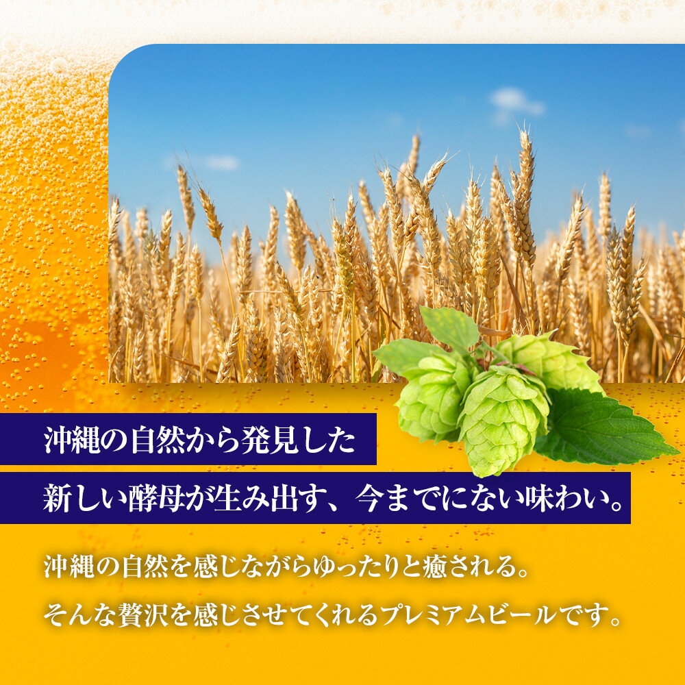 【ふるさと納税】ビール オリオン ザ・プレミアム 350ml × 24缶 | 地ビール クラフトビール 酒 お酒 さけ sake 沖縄 お土産 ご当地 高級感 人気 おすすめ 新発売 お取り寄せ アウトドア キャンプ パーティ 宅飲み 家飲み 晩酌 アルコール BEER ビア 沖縄県 浦添市 サムネイル2
