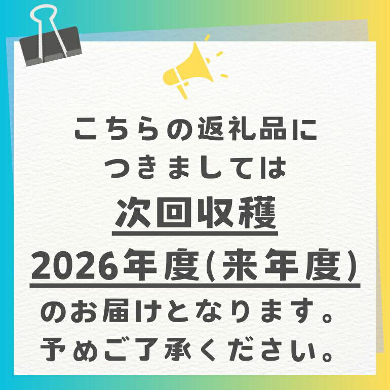 【ふるさと納税】【 先行予約 2026年 発送 】 訳あり 沖縄県 糸満産 かねよし マンゴー アーウィンマンゴー 1.5kg 訳アリ 訳あり品 沖縄県産 アップルマンゴー 国産 完熟マンゴー 果物 くだもの フルーツ 完熟 夏 特産品 沖縄 産地直送 農家直送 甘い 濃厚 糸満市 送料無料 サムネイル2