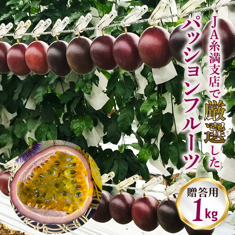 【 先行予約 2026年 発送 】 JA糸満支店で厳選した「 パッションフルーツ 」贈答用 約 1kg 果物 フルーツ くだもの 1キロ 沖縄 果実 南国フルーツ 沖縄県産 美味しい 甘い あまい 酸味 産地直送 農家直送 産直 ギフト 贈答品 贈り物 沖縄県 糸満市 送料無料