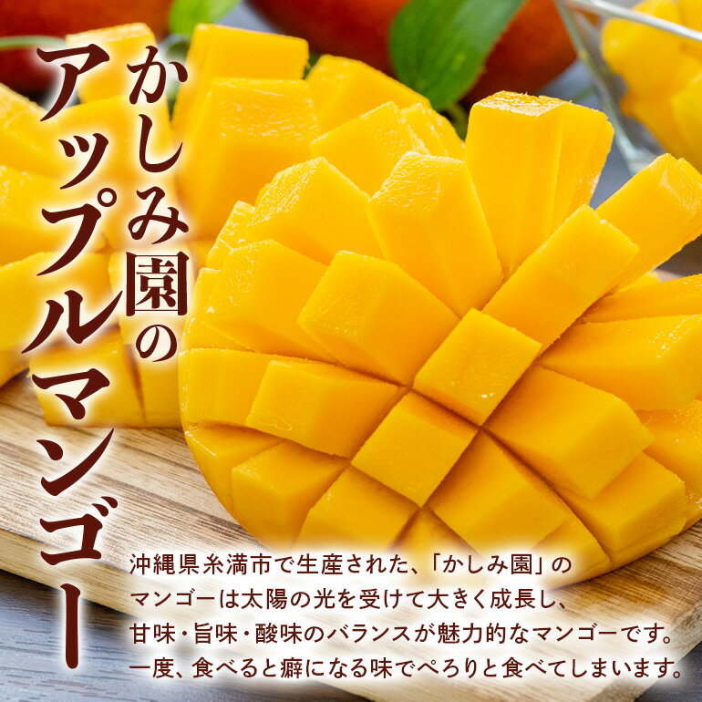 【ふるさと納税】【 先行予約 2026年 発送 】 優秀賞受賞のかしみ園 アップルマンゴー 1kg 沖縄県産 マンゴー アーウィンマンゴー 1キロ 国産 完熟マンゴー 果物 南国 くだもの フルーツ 完熟 夏 旬 特産品 沖縄 お取り寄せ 産地直送 農家直送 甘い 濃厚 糸満市 送料無料 サムネイル3