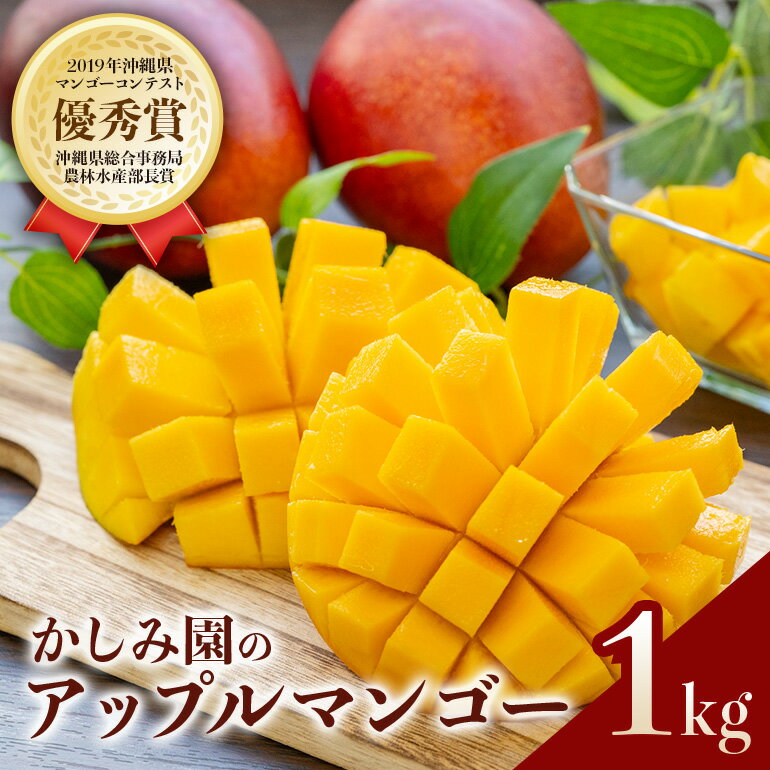 【 先行予約 2026年 発送 】 優秀賞受賞のかしみ園 アップルマンゴー 1kg 沖縄県産 マンゴー アーウィンマンゴー 1キロ 国産 完熟マンゴー 果物 南国 くだもの フルーツ 完熟 夏 旬 特産品 沖縄 お取り寄せ 産地直送 農家直送 甘い 濃厚 糸満市 送料無料