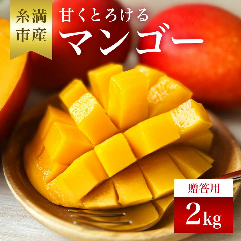 【 先行予約 2026年 発送 】 かねよしマンゴーの甘くとろける マンゴー 2kg ( 贈答用 ) 沖縄県産 アップルマンゴー アーウィンマンゴー 2キロ 国産 完熟マンゴー 果物 くだもの フルーツ 完熟 夏 旬 沖縄 産地直送 農家直送 ギフト 贈答品 糸満市 送料無料